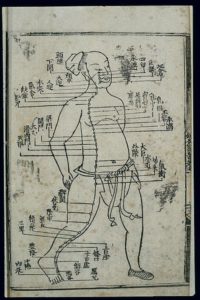 Acupuncture_chart,_stomach_channel_of_foot_yangming,_Chinese_Wellcome_L0037487